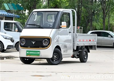Неомор Д02 ЕВ